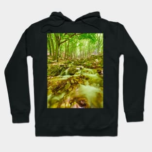 River flowing through rocks Hoodie